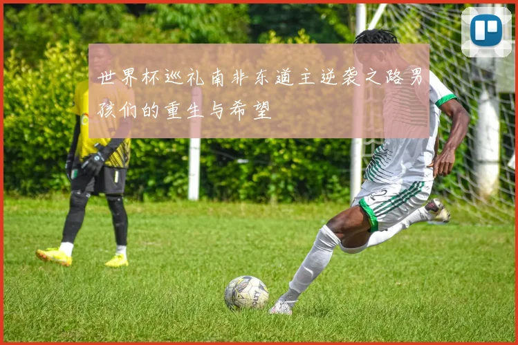 世界杯巡礼南非东道主逆袭之路男孩们的重生与希望
