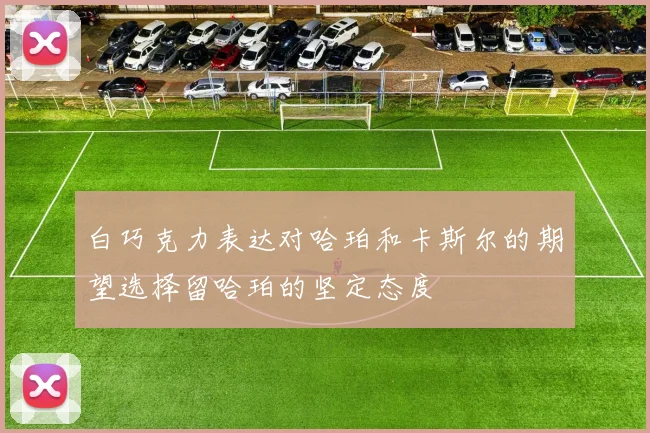 白巧克力表达对哈珀和卡斯尔的期望选择留哈珀的坚定态度